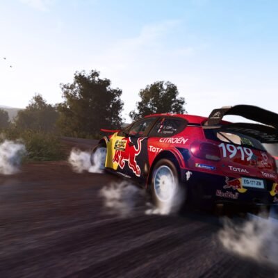 WRC 9 Deluxe Edition FIA World Rally Championship - ảnh gameplay 1
