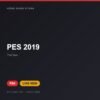 Đĩa game PES 2019 cho PS4 - Hóng Game Store