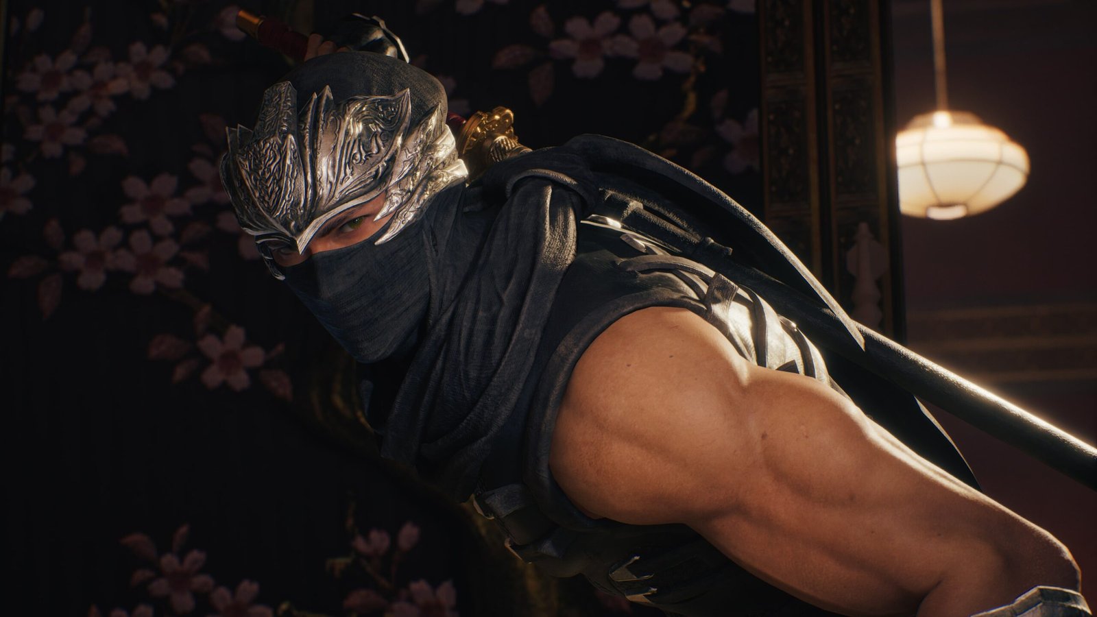 NINJA GAIDEN 2 Black - ảnh gameplay 4